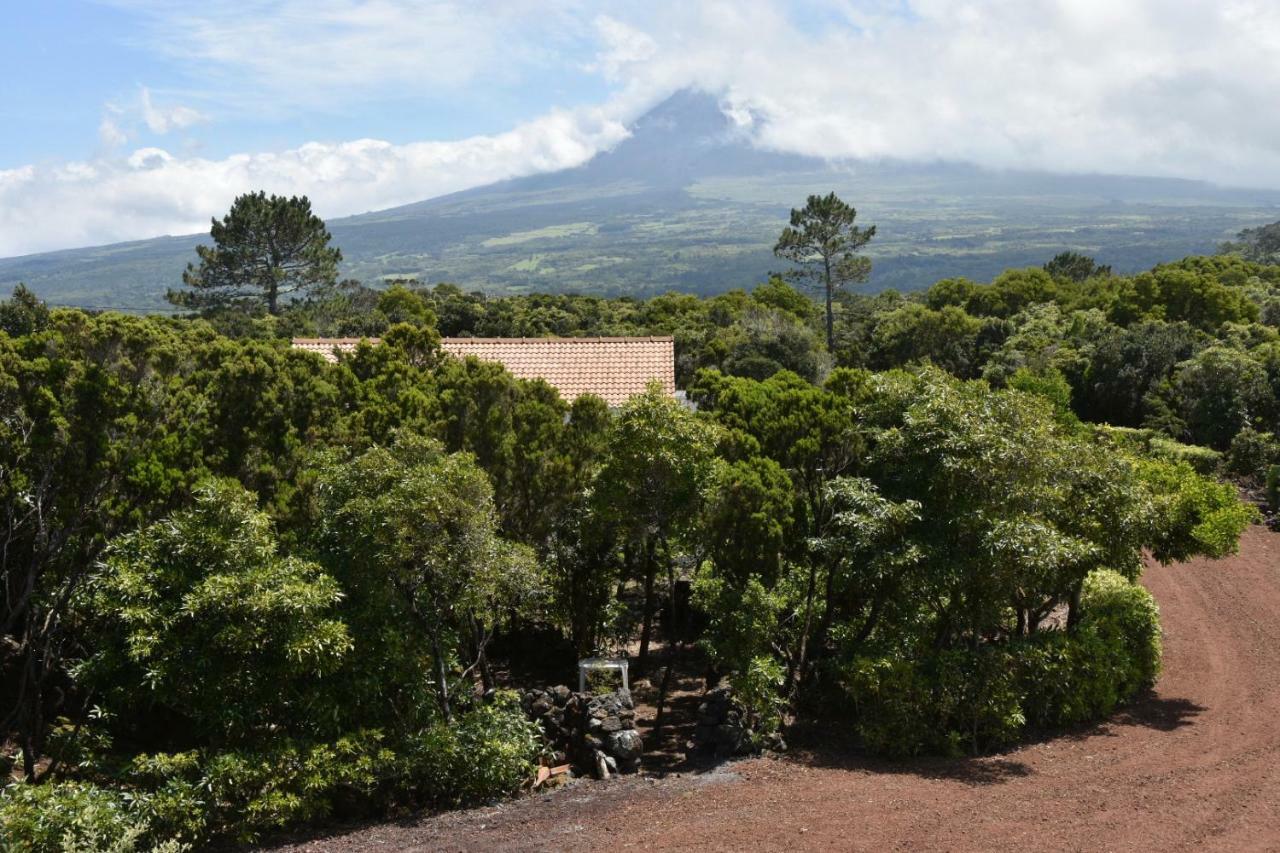 Adega Mourato Villa Bandeiras ภายนอก รูปภาพ