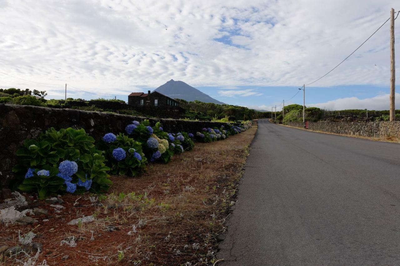Adega Mourato Villa Bandeiras ภายนอก รูปภาพ
